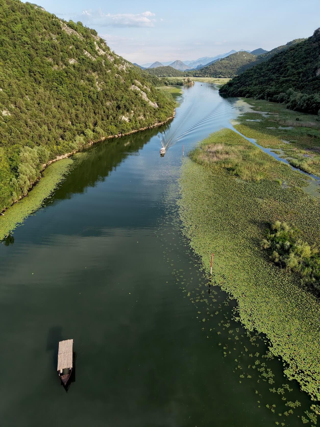 Vista aérea de los verdes humedales del lago Skadar